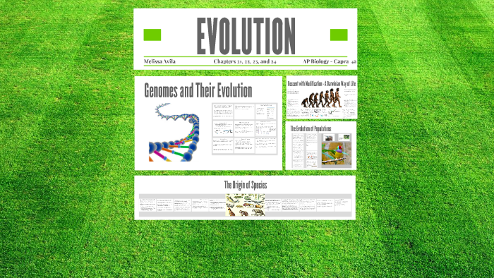 EVOLUTION REVIEW AP Biology Ch.21,22,23,24 by Melissa Velazquez