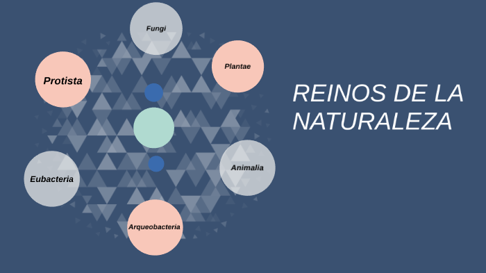 REINOS DE LA NATURALEZA by Margareth Salazar on Prezi