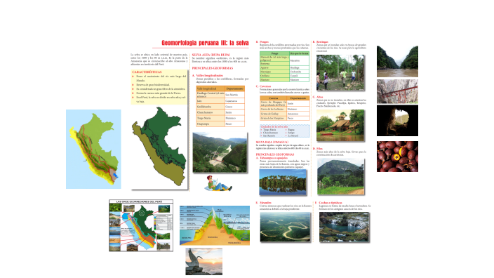 Geomorfología peruana III: La selva by Daniel Perea Vivanco on Prezi