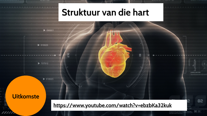 Struktuur van die hart by Karissa Birkenstock on Prezi