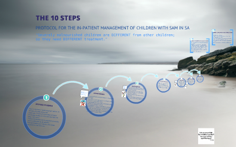 THE 10 STEPS by Sarah Jane Smith on Prezi