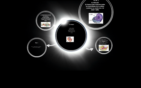 La cèlula by jorge lopez on Prezi