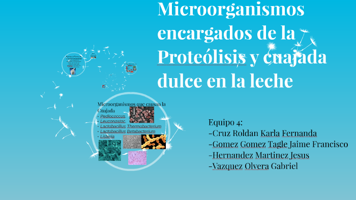 microorganismos en la leche