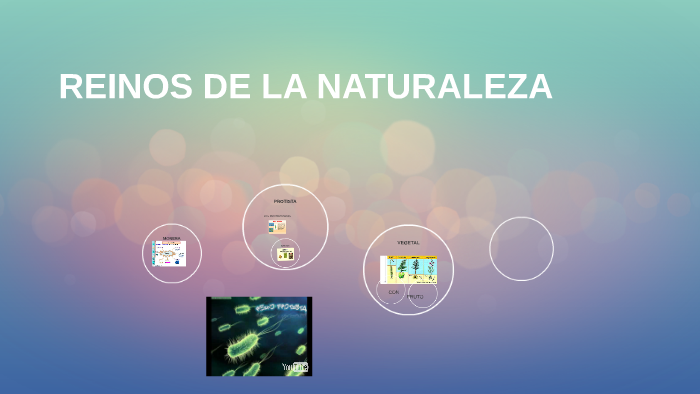 REINOS DE LA NATURALEZA by adriana patricia hernandez gomez on Prezi