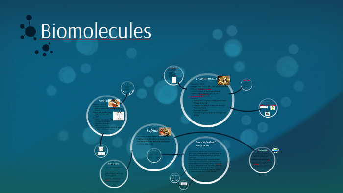 Biomolecules by santi b on Prezi