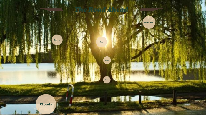 Identity Tree by SARAH MORRISON on Prezi