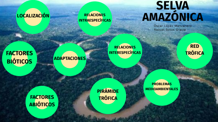 SELVA AMAZÓNICA by Óscar López Manzanero on Prezi