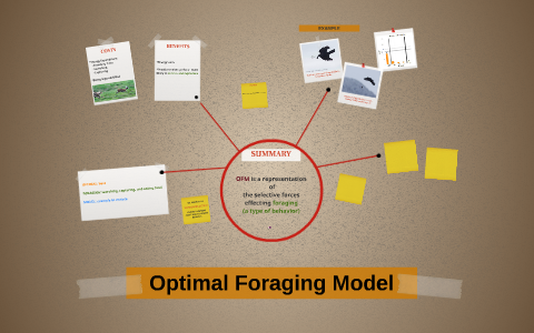 Optimal Foraging Model by Fatima Haidar on Prezi