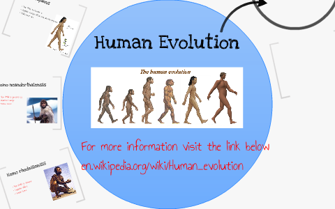 Human Evolution by jared favazza on Prezi