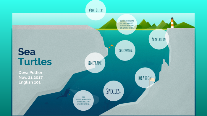 Sea Turtles by Deva Peltier on Prezi