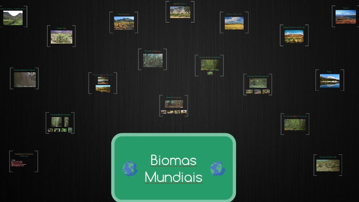 Biomas Mundiais - Ecologia by Anna Karlla Ferreira Dias on Prezi