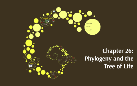 Chapter 25: Phylogeny and the Tree of Life by Gabrielle Tuck on Prezi