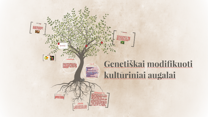 Genetiskai Modifikuoti Kulturiniai Augalai By Olgierdas Asasa