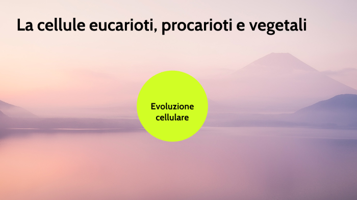 la cellula eucariote, procariote e vegetale by raffaele comes on Prezi