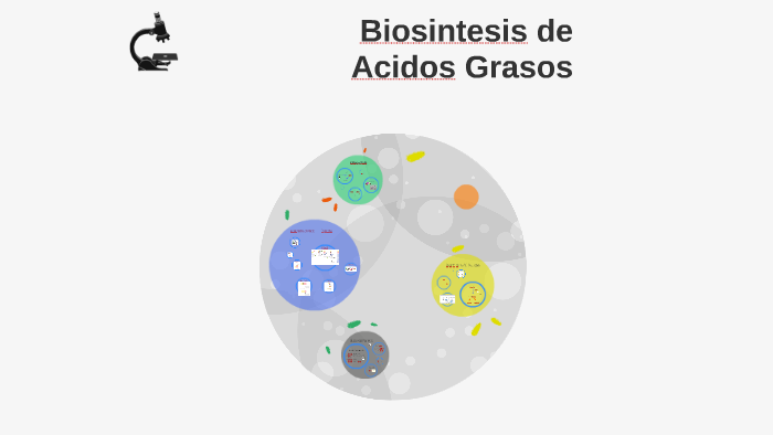 Biosintesis De Acidos Grasos By Allison Salazar On Prezi 2057