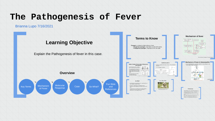 Pathogenesis of Fever by Brianna Lupo on Prezi