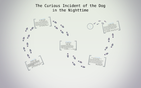 The Curious Incident of the Dog in the Nighttime - Christopher Map by