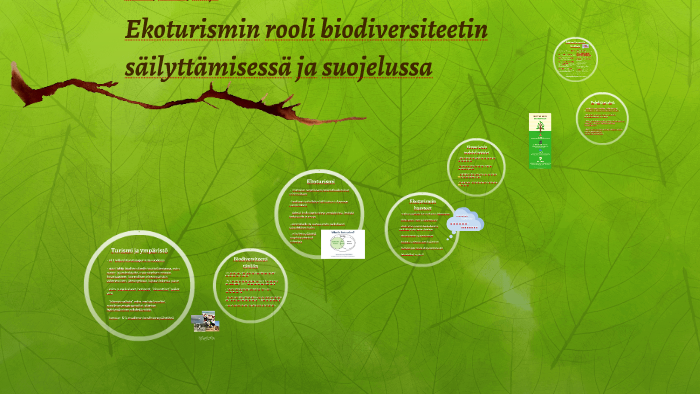 Ekoturismin rooli biodiversiteetin säilyttämisessä ja suojel by Reetta ...