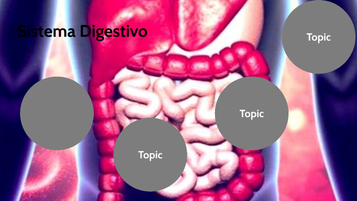 Sistema Digestivo by Laura Isabela Rodríguez Cortes on Prezi