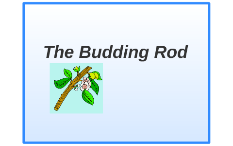 The Budding Rod by alejandra castillo on Prezi
