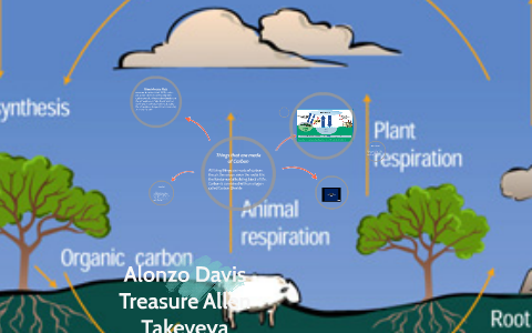 Carbon cycle by alonzo davis on Prezi