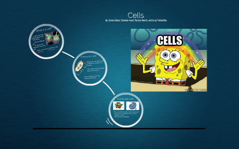 Cells by Kai Reyano on Prezi