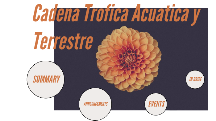 Cadena Trofica Acuatica y Terrestre by Karla Estrabao - Prezi
