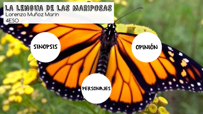 LA LENGUA DE LAS MARIPOSAS by Lorenzo Muñoz Marin on Prezi