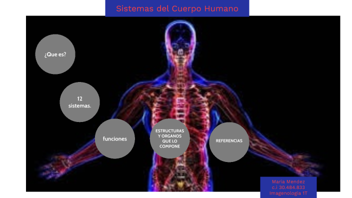 Sistemas de cuerpo humano by María Alejandra Méndez González on Prezi Next