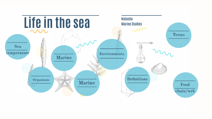 life in the sea by natasha elliott on Prezi