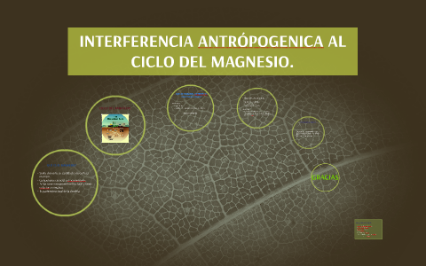 INTERFERENCIA ANTRÓPICA AL CICLO DEL MAGNESIO By Paola Muñoz On Prezi