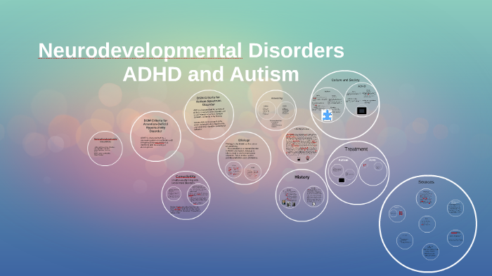 neurodevelopmental-disorders-by-lauren-wojdyla