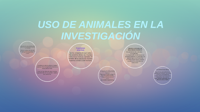 USO DE ANIMALES EN LA INVESTIGACIÓN By Camilita Pinzón