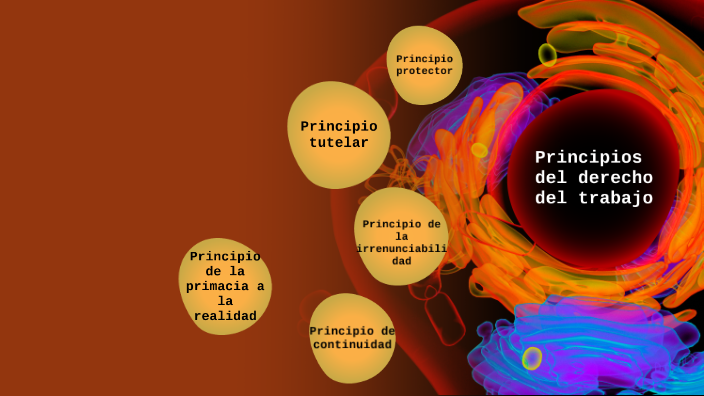 Principios generales del derecho del trabajo by Tomas Sassani on Prezi