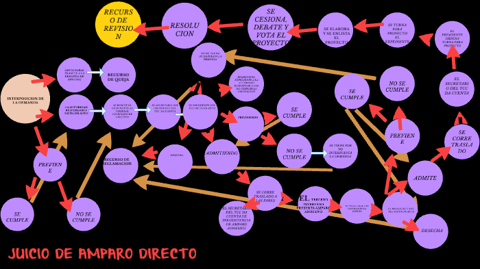 JUICIO DE AMPARO DIRECTO by Are Ram on Prezi
