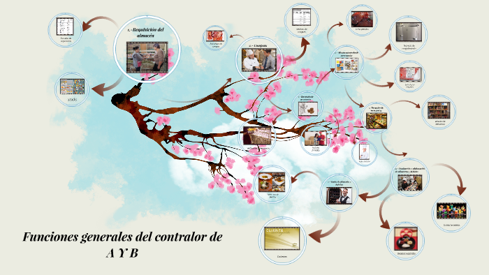 Funciones Generales Del Contralor De A Y B By Amairany Roldan On Prezi