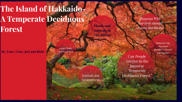 The Island of Hakkaido- A Temperate Deciduous Forest by Utsav Joshi
