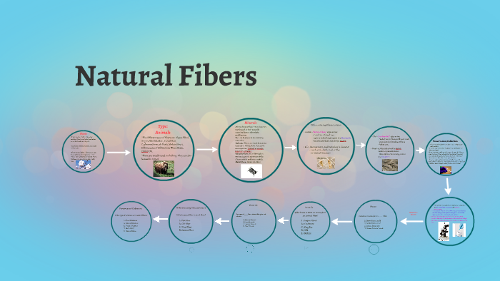 Types Of Natural Fibers Forensics