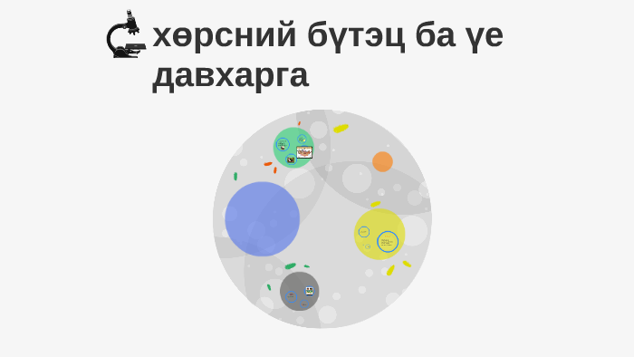 хөрсний бүтэц ба үе давхарга by zaya vironika on Prezi