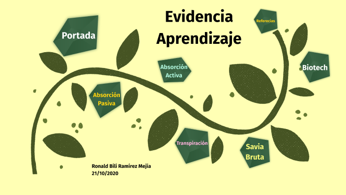 U2. Evidencia Aprendizaje by Ronald Ramírez on Prezi
