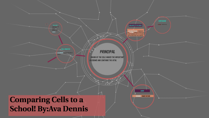 Comparing Cells to a School! by Ava Dennis on Prezi
