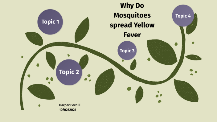 how-do-mosquitoes-spread-yellow-fever-by-kelsey-cordill-on-prezi