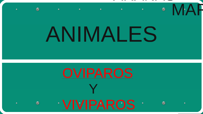 AINIMALES OVIPAROS Y VIVIPAROS by shuberth ademar gongora cabrera