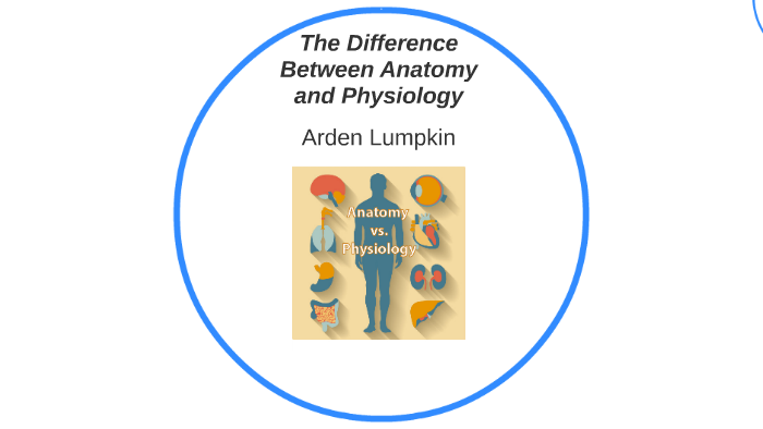 what-is-the-difference-between-anatomy-and-physiology-by-caitlin-post