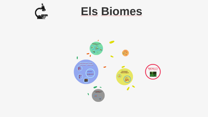 Biomes De La Selva Tropical By Berta Fernandez