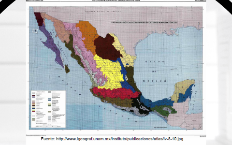 Provincias Biogeograficas de México by Yazmin Castillo Pineda