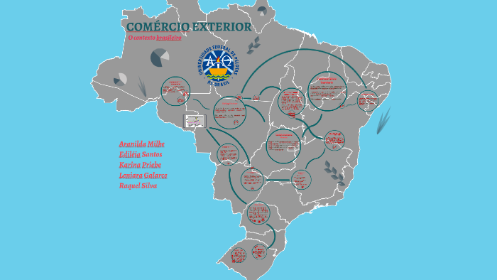 A Macroeconomia da Federação Russa do Tratamento de Choque à