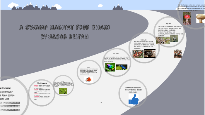 swamp food chain by jacob reitam Biology Diagrams
