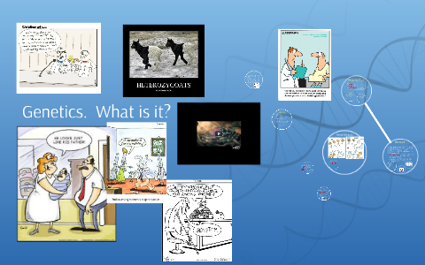 Genetics. What is it? by Sarah Rodney on Prezi