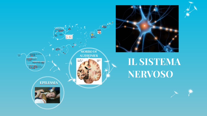 IL SISTEMA NERVOSO by Caroline Liquit on Prezi